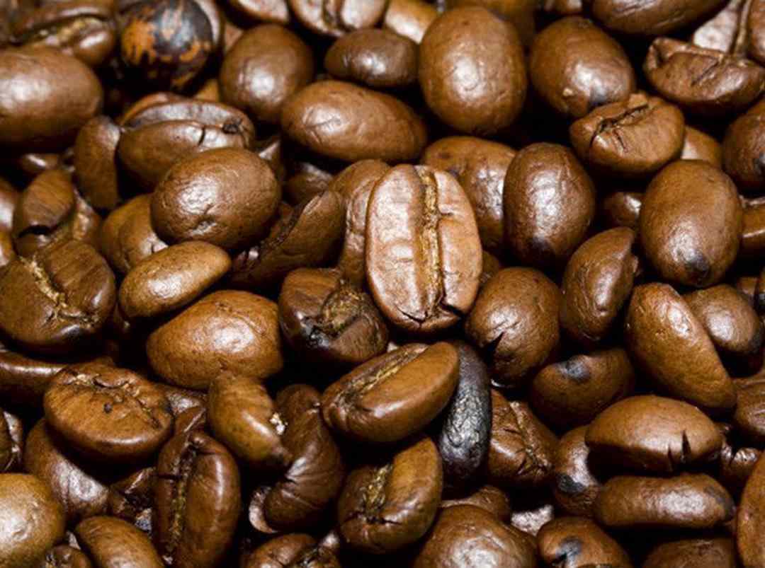 Cà phê Arabica- Cà phê Đà Lạt đặc trưng