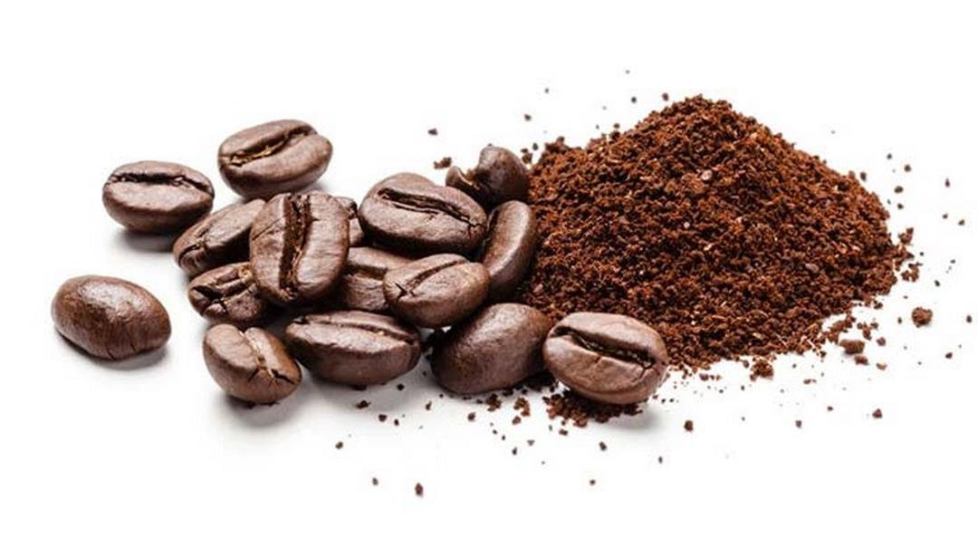 Phần nhân của hạt cà phê là quan trọng nhất 