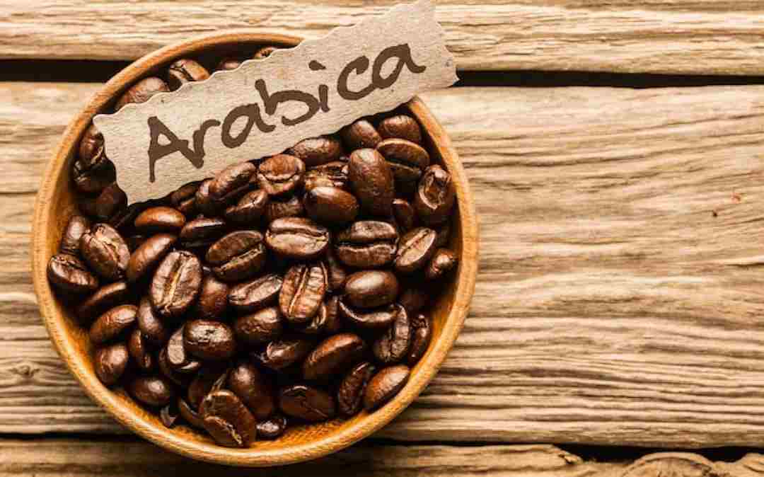 Cà phê arabica có tên khoa học là Coffea Arabica