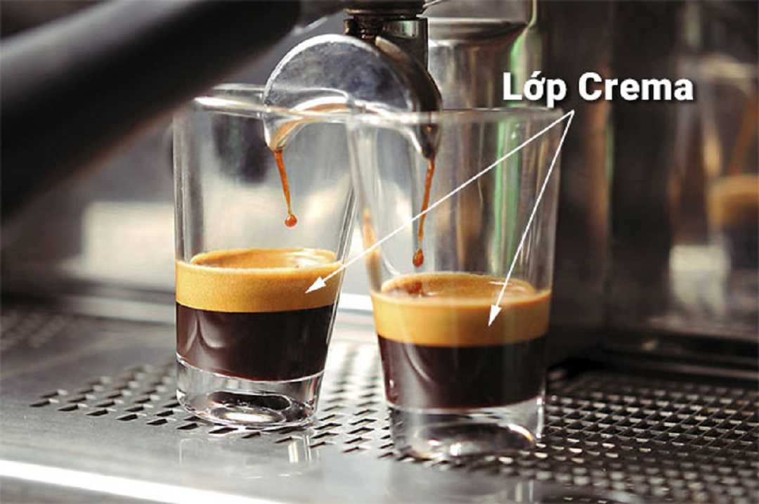 Màu cà phê chuyển dần từ đen sang nâu tạo thành lớp crema ở trên