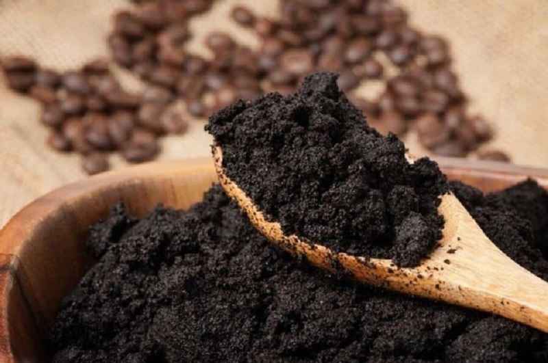 Bã cà phê có nhiều dưỡng chất tốt cho cây trồng