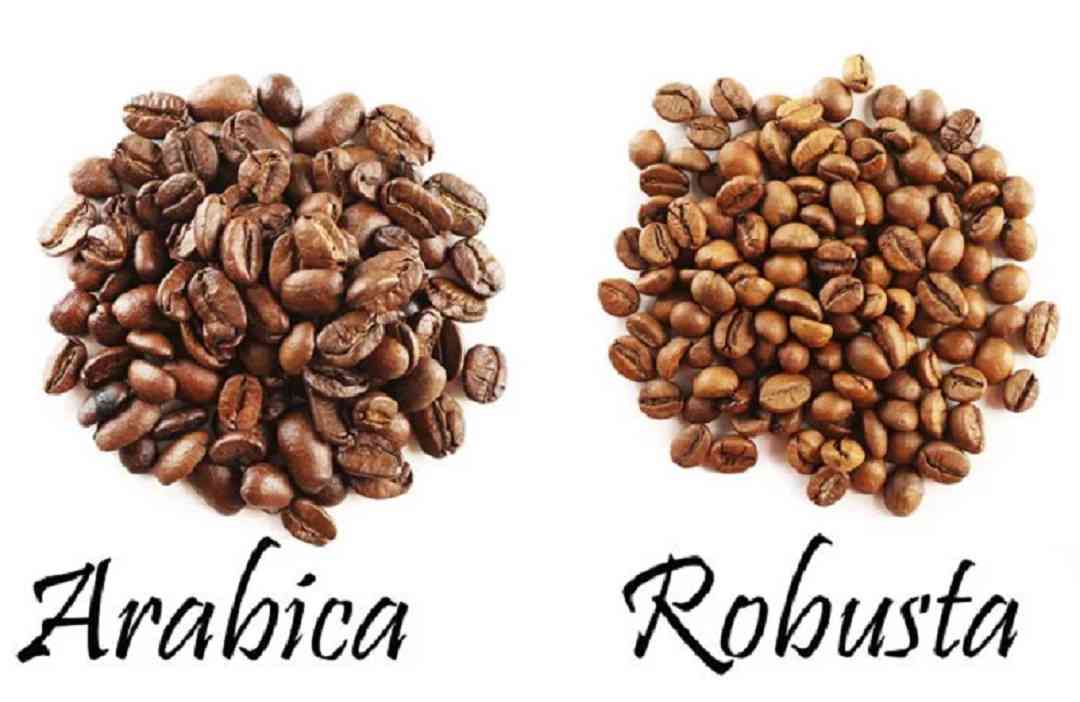 Có 2 loại cà phê hạt là Robusta và Arabica
