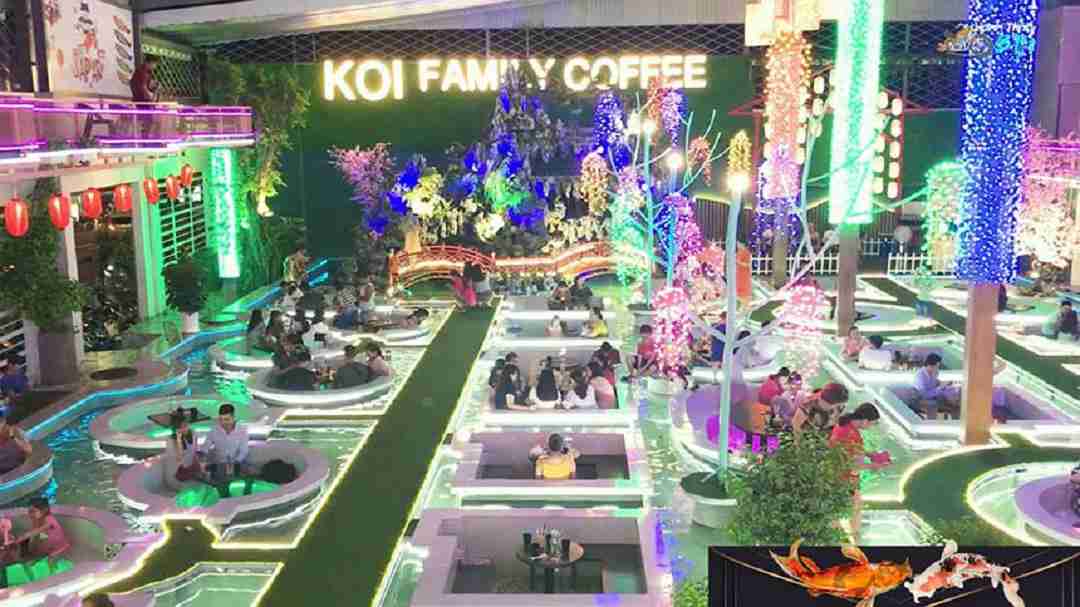 Tiềm năng của mô hình quán cafe cá Koi