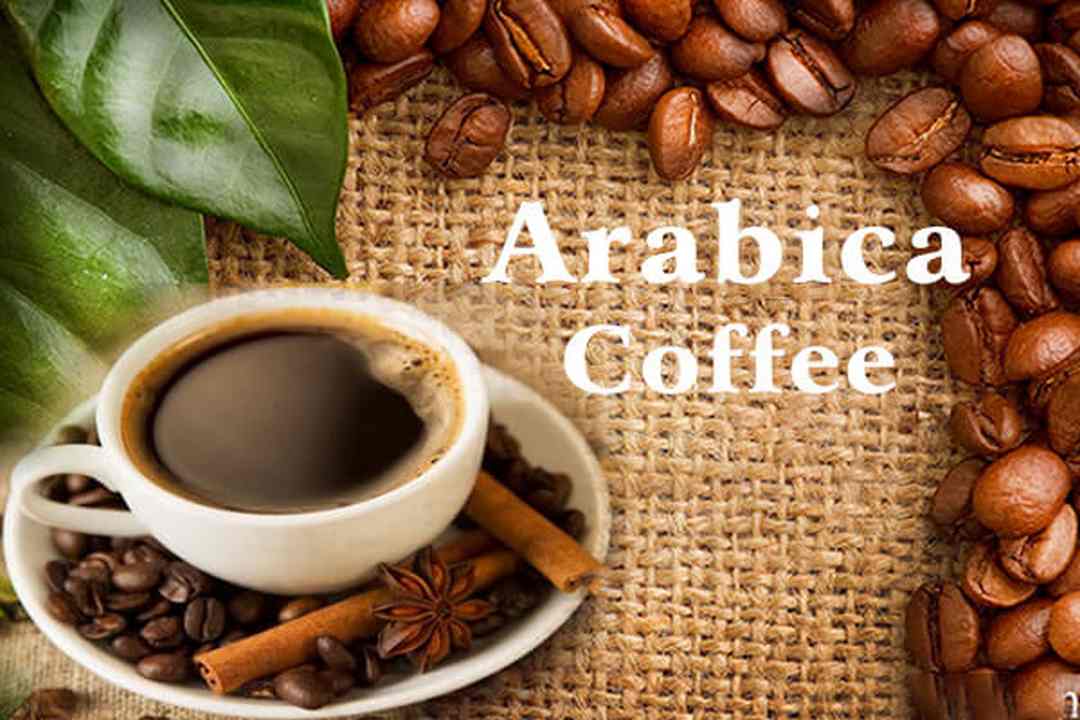 Giới thiệu về cà phê Arabica