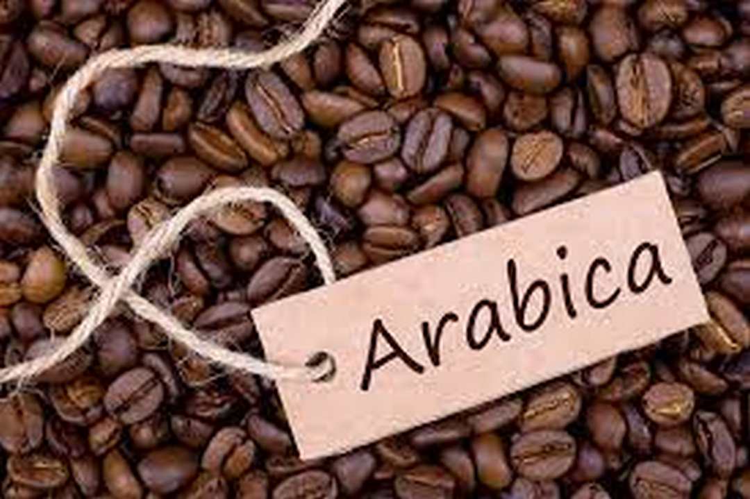Cách chọn loại cà phê Arabica tốt nhất